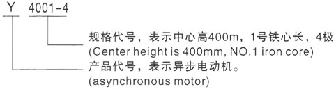 西安泰富西玛Y系列(H355-1000)高压YJTG-160L-2A/18.5KW三相异步电机型号说明