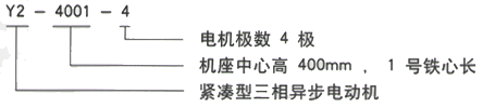 YR系列(H355-1000)高压YJTG-160L-2A/18.5KW三相异步电机西安西玛电机型号说明